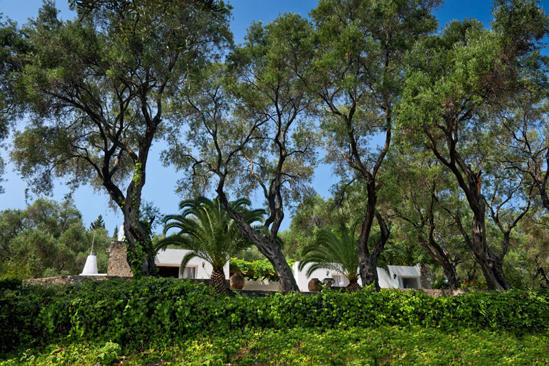 Olive Grove Villa with Private Pool