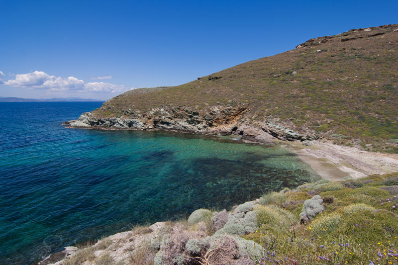 luxury villa with pool and sandy beach in walking distance