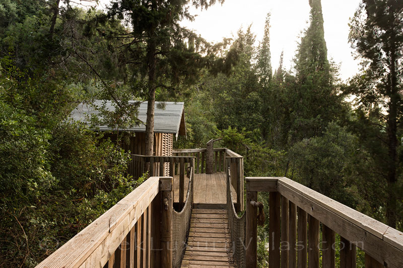 tree house beachfront villa Paxos