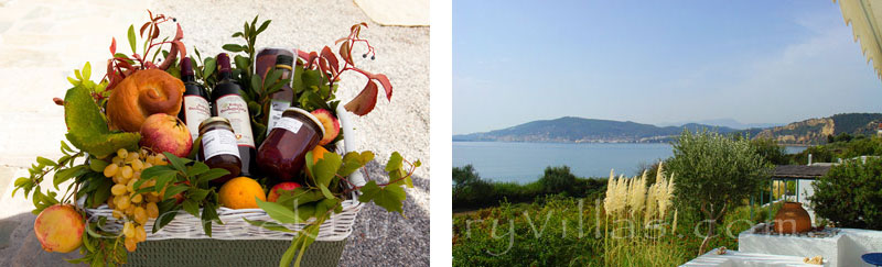 A warm welcome at the beach bungalows in Peloponnese