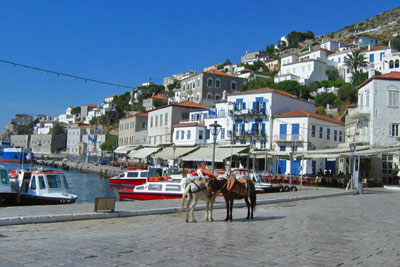 Hydra